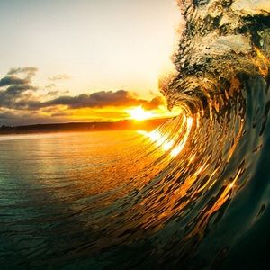 Meet your Posher, Bella